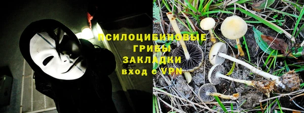 марки lsd Абаза