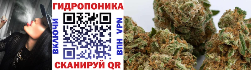 МАРИХУАНА гибрид  Елизаветинская 